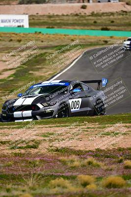 media/Feb-25-2024-Speed Ventures (Sun) [[b9a2a97a4d]]/Mustang Drivers Club/Session 3 (Turn 2)/